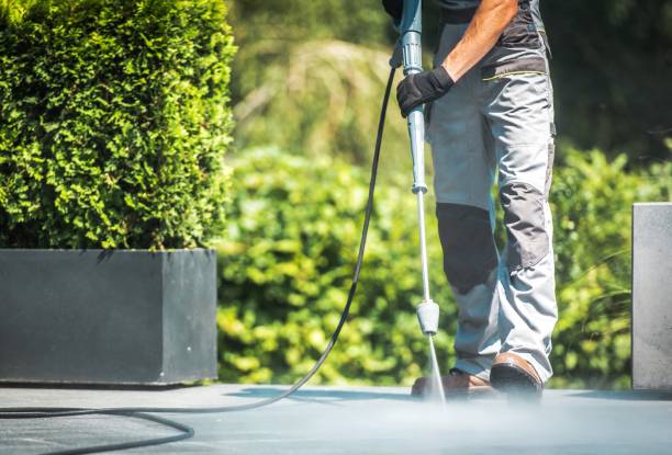 Best Soft Washing for Delicate Surfaces in Omro, WI